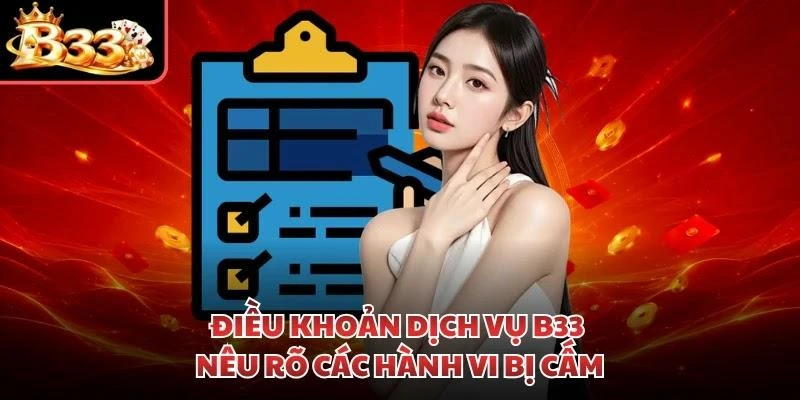 Điều khoản dịch vụ B33 nêu rõ các hành vi bị cấm