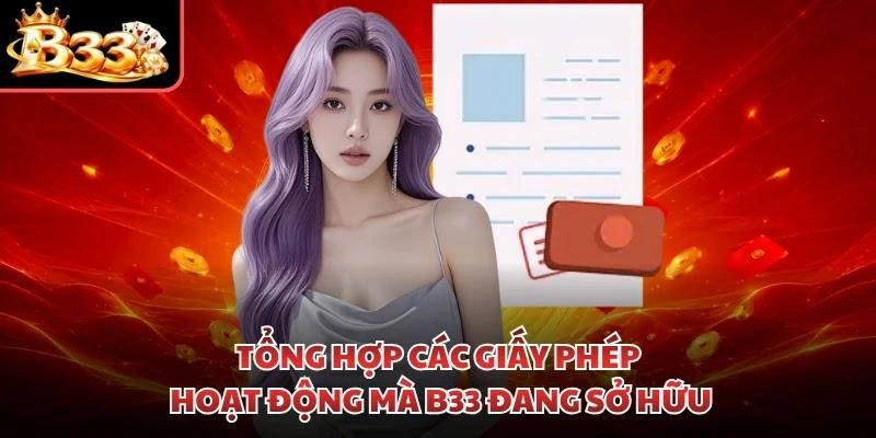 Tổng hợp các giấy phép hoạt động mà B33 đang sở hữu